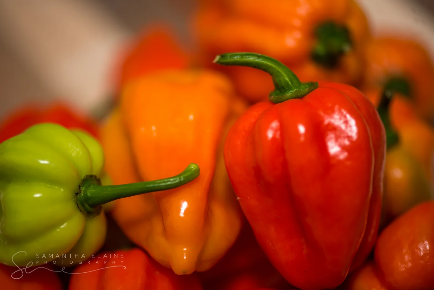 habaneros-8536.jpg