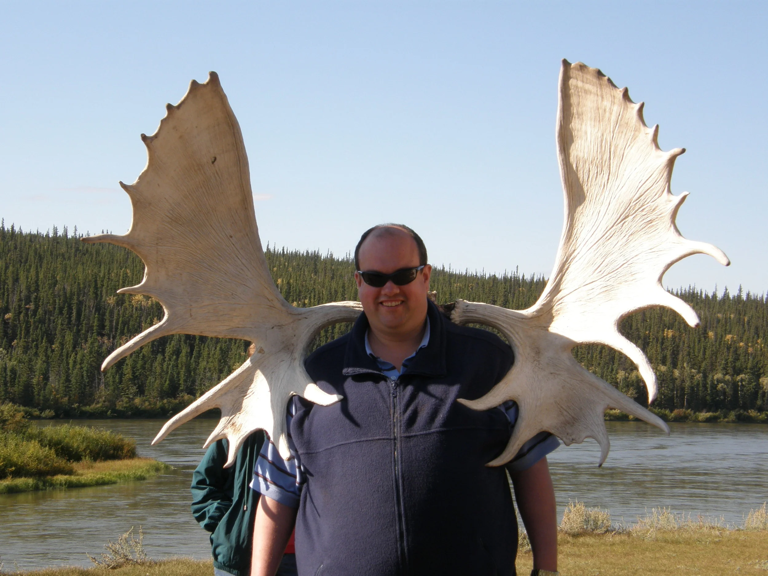 75 Pound Moose Antlers Minto Landing