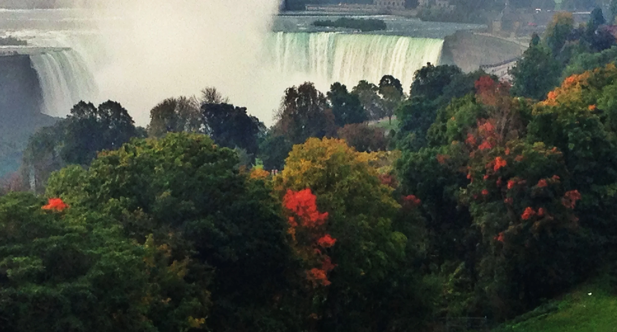 Niagara Falls From The SKywheel
