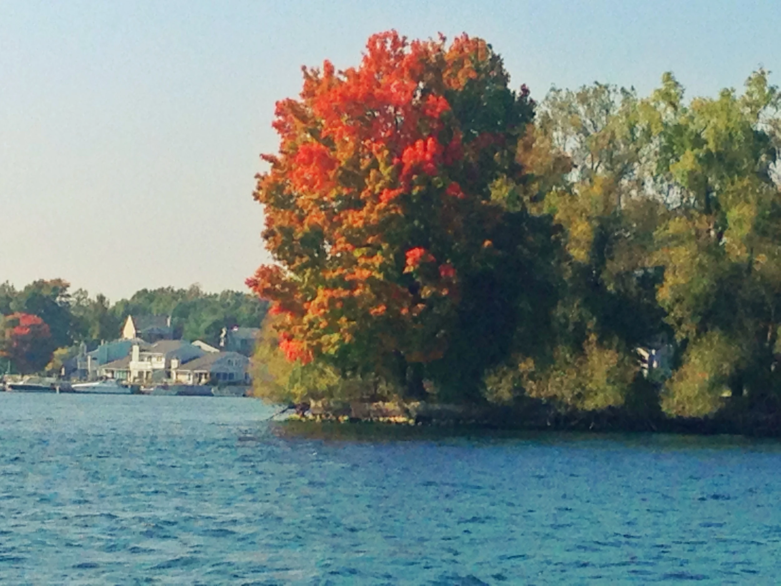 Thousand Islands Cruise