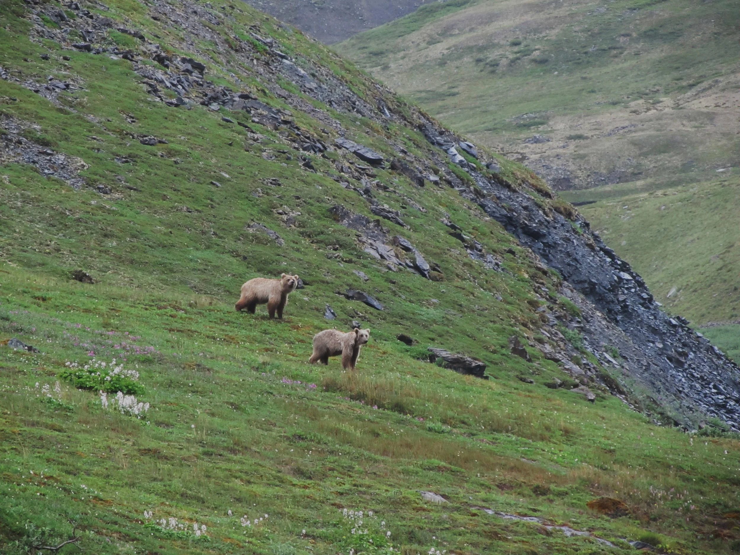 20110701_23.JPG