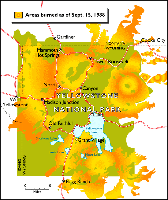 Yellowstone 1988 Wildfire.gif