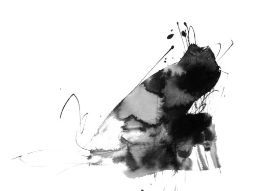 The Art of Anne Borchardt