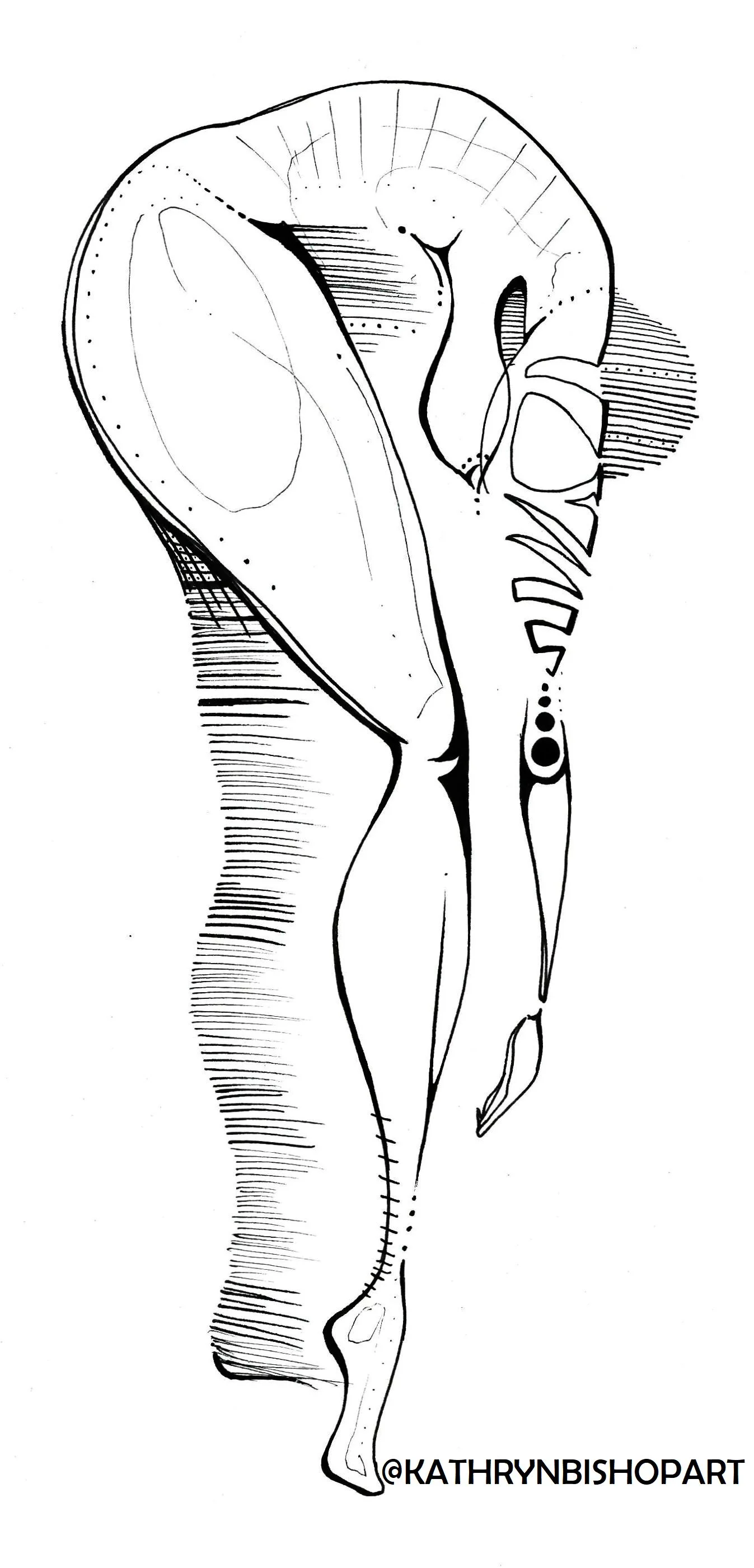 Figure 7.jpg