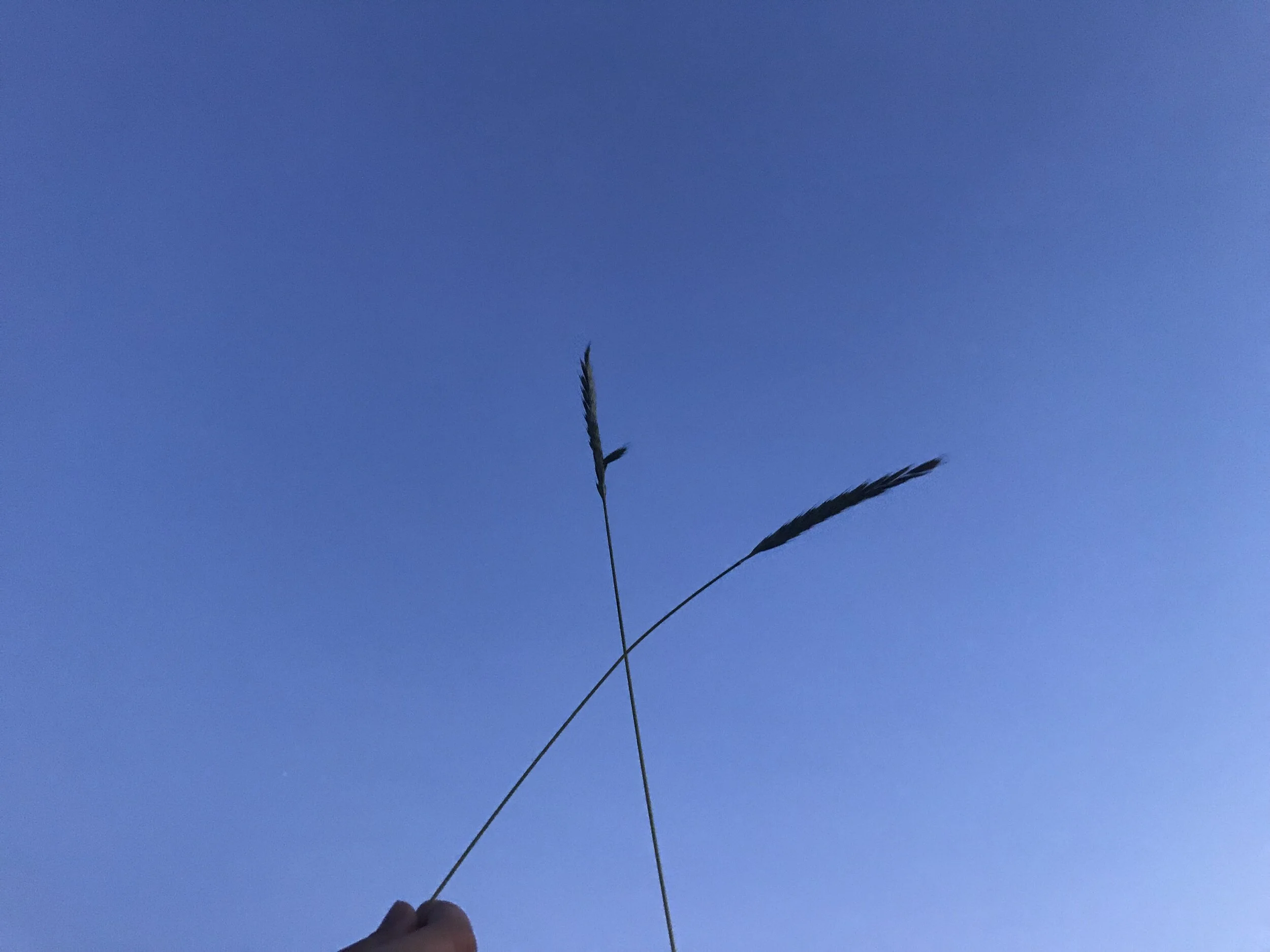 SWEET SLEEP by Margot Rudy