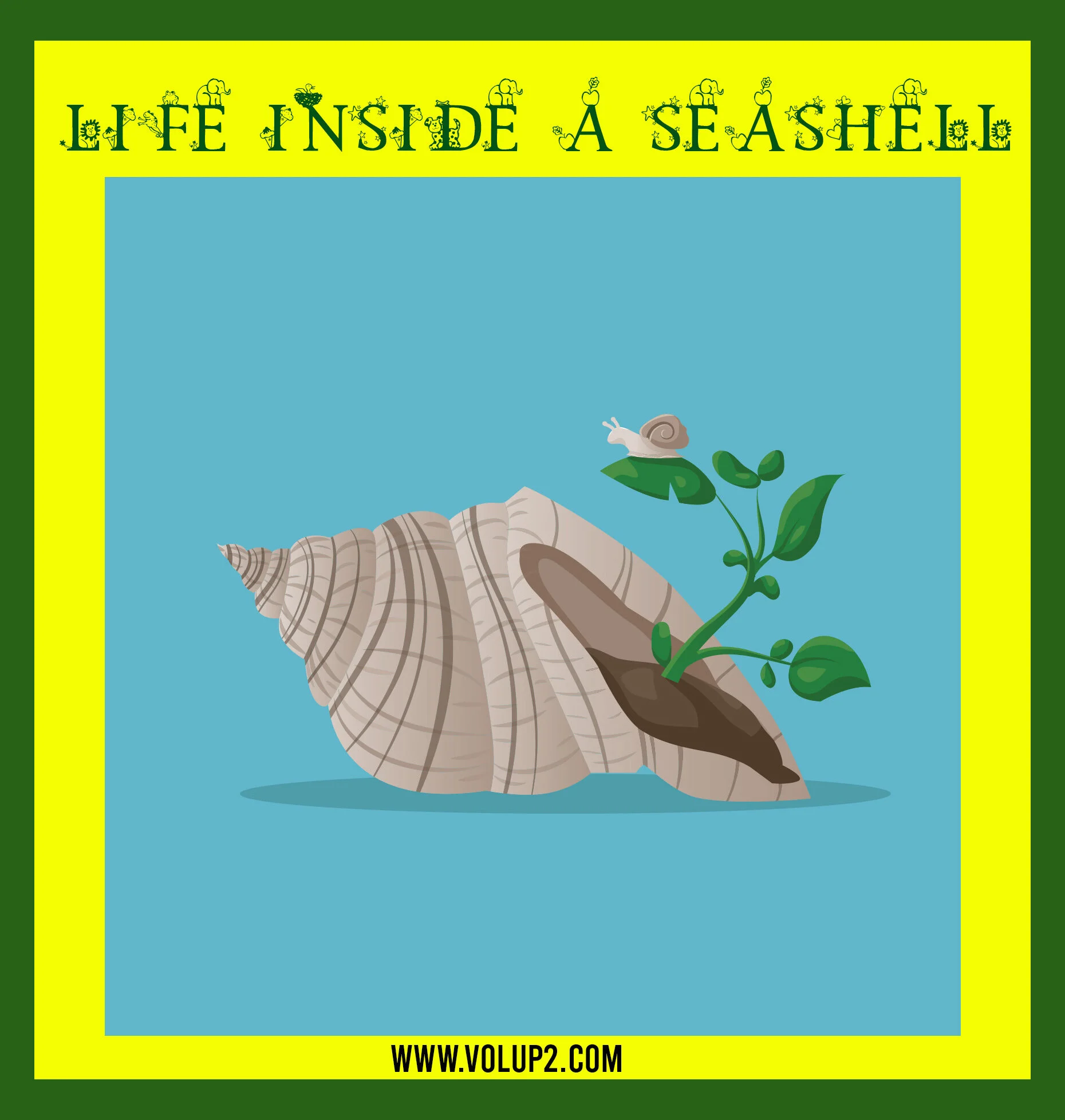 LIFE INSIDE A SEASHELL by Alma Saddi