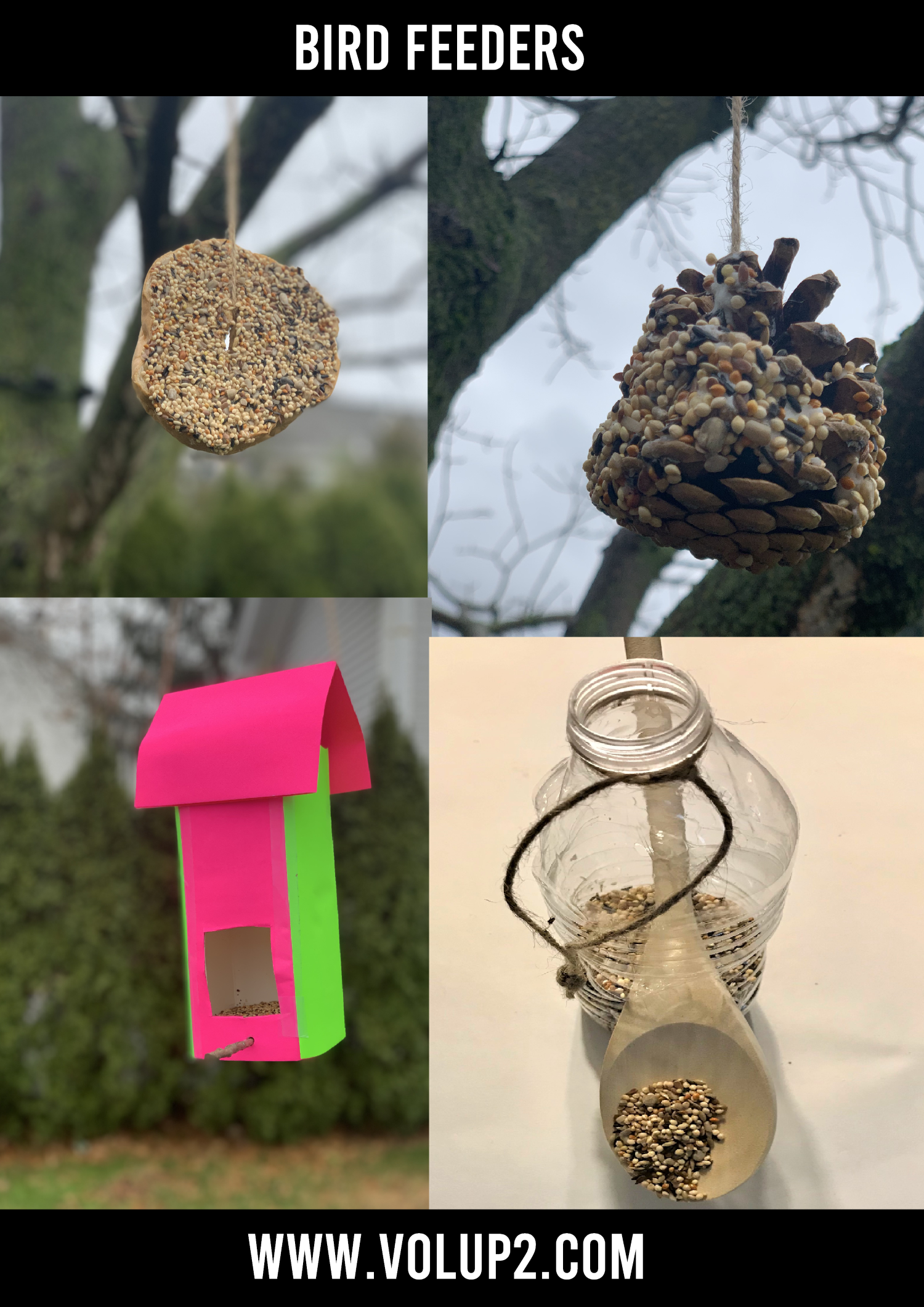 Bird Feeder by Gabrielle McLean