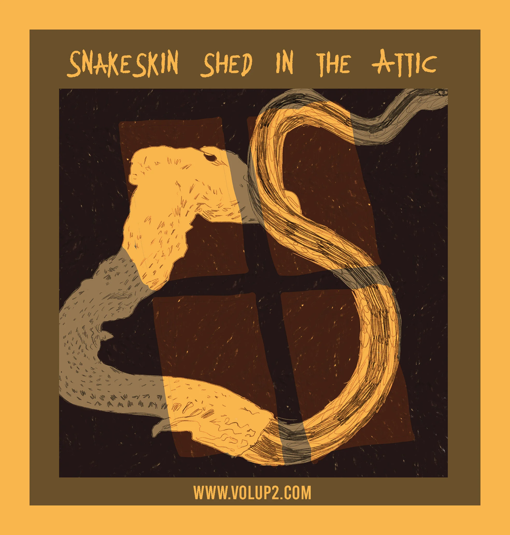 Snakeskin shed in the Attic by Iris Arnold