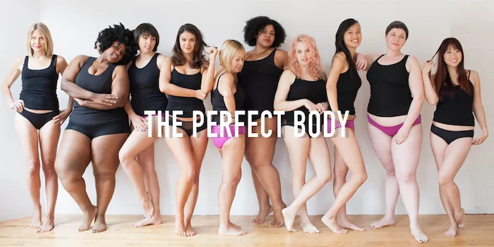 This picture was a response from the ladies of Dear Kate to an add from Victoria's Secret. The VS add showed an array of tall, skinny, boobalicious, long haired, predominantly white models in their underwear, with the words 'The Perfect Body' written across them. The Dear Kate team decided to create this gorgeous and amazing photo in response.