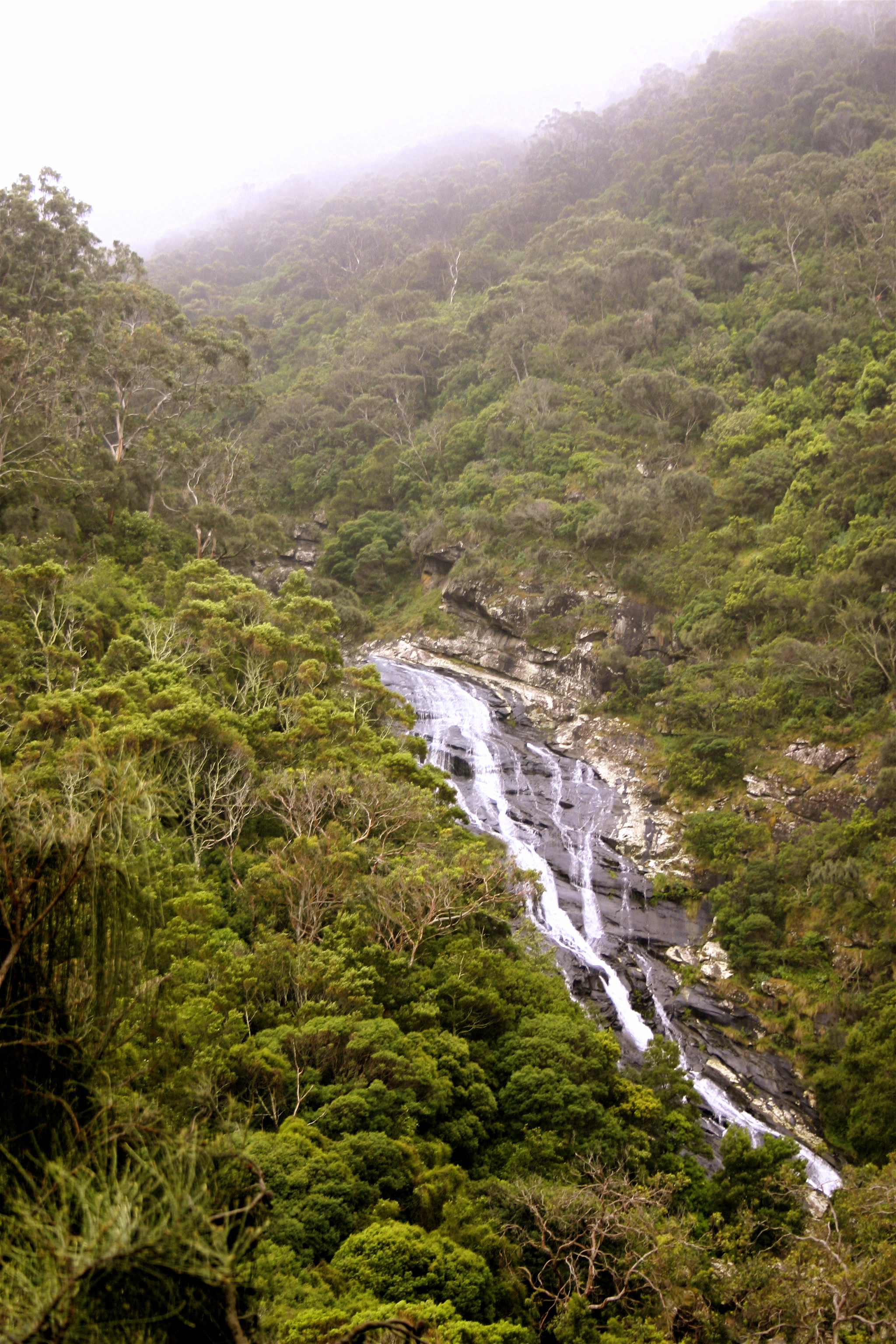 Sheoak Falls