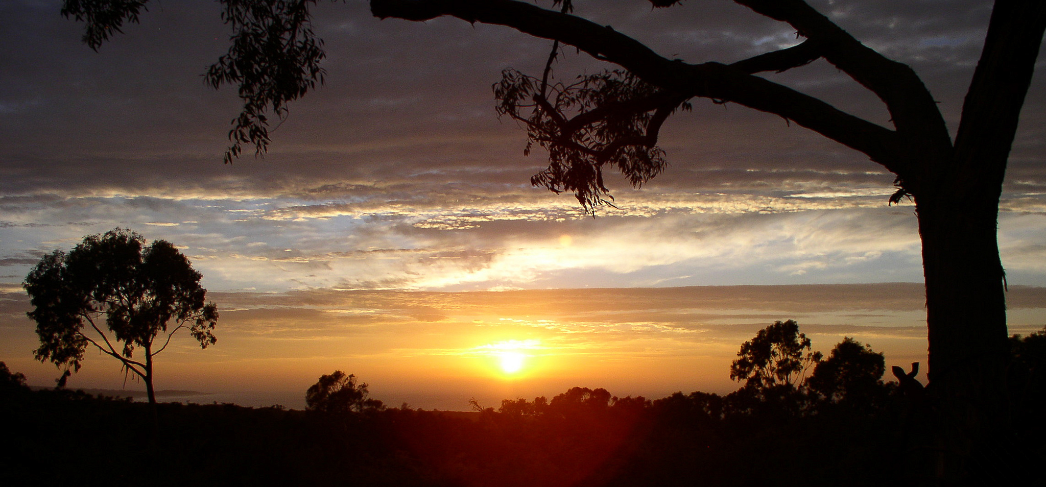 view1.jpg