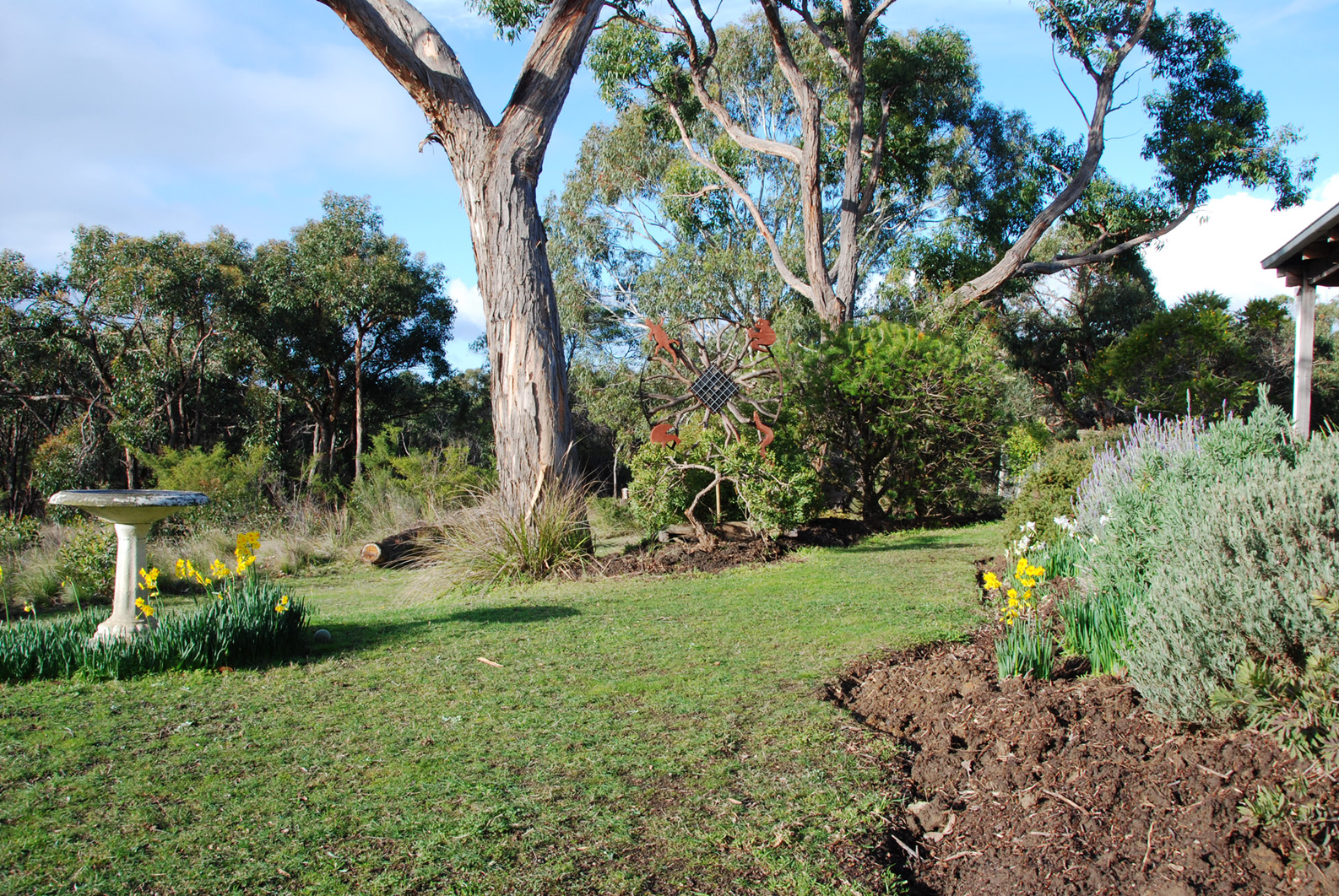 front bed w birdbath.jpg