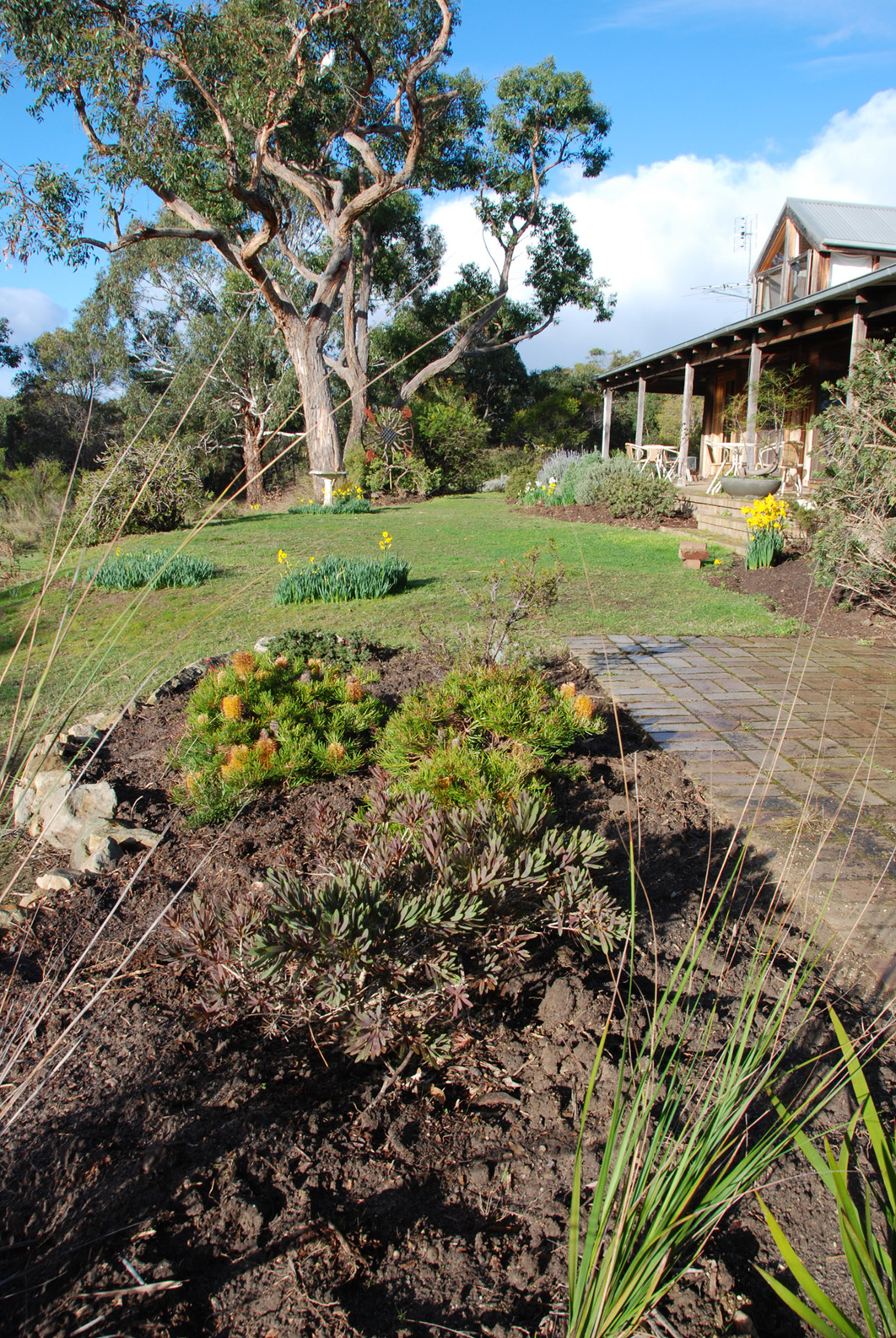 front bed.jpg