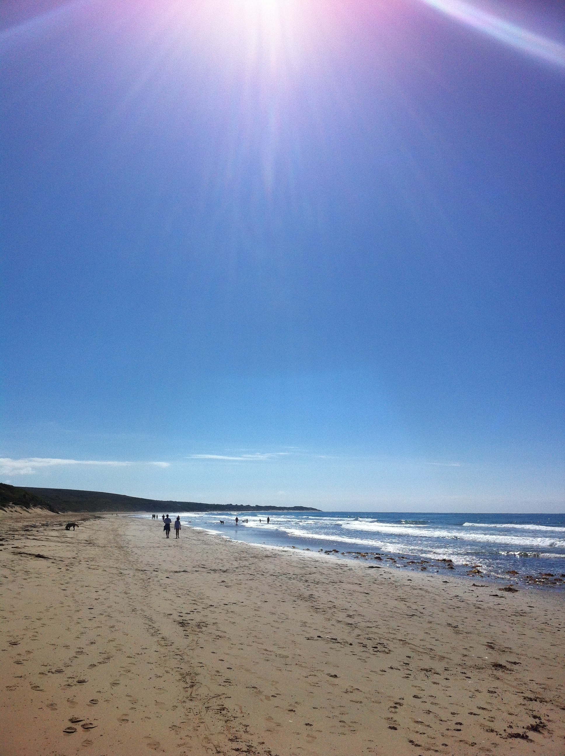 Urquhart's Bluff