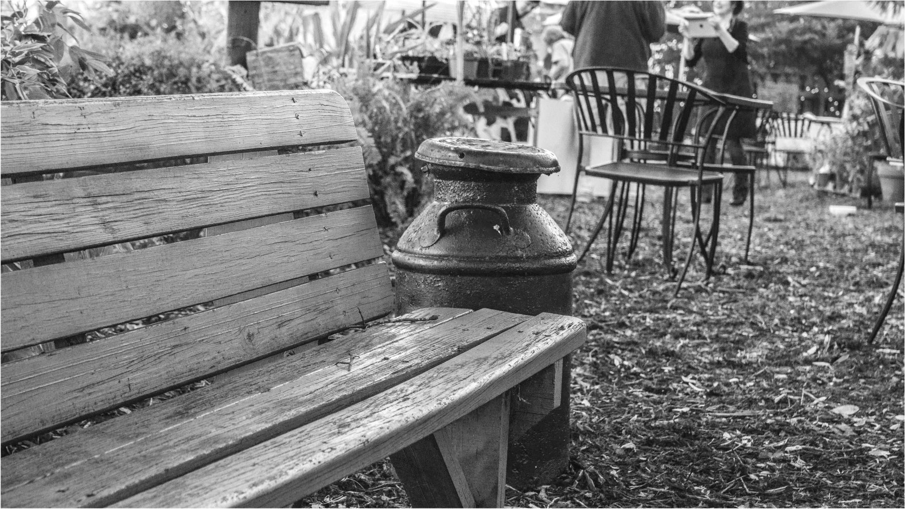 Pickled Palate bench BW.jpg
