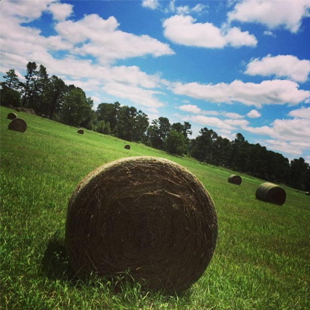 USA - Arkansas - Jonesboro - Farm de In-Laws