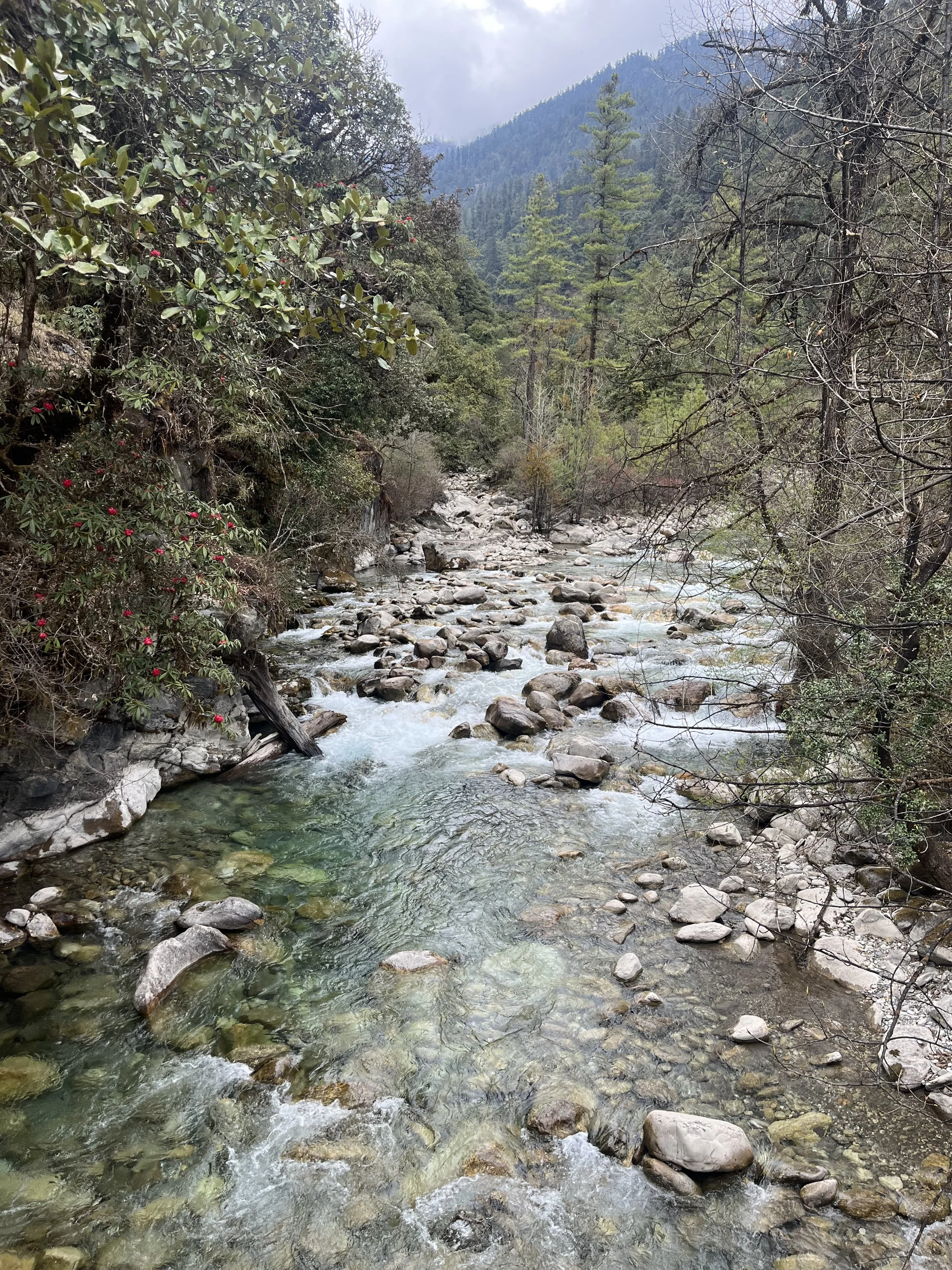 45-IMG_3888.jpeg