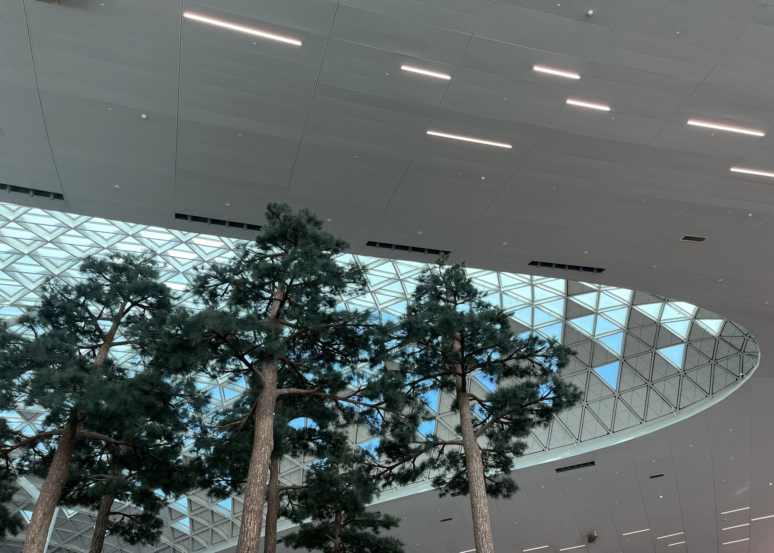 05-IMG_2639.jpeg