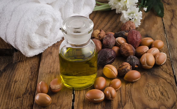    
  
 
  
      Argan Oil      Scientific Name: Argania spinosa      Family Name: Sapotaceae      The argania tree, also known as the Moroccan ironwood tree, is a thorny evergreen tree native to southwestern Morocco and grown for its plum-sized fru
