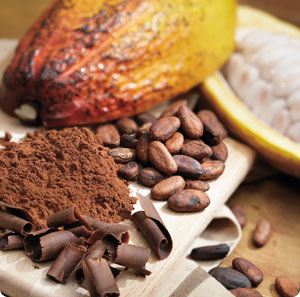    
  
 
  
      Cocoa Butter      Scientific Name: Theobroma cacao      Family Name: Malvaceae     Also called theobroma ("food of the gods") oil, cocoa butter is the solid edible natural fat of the cacao bean, extracted during the process of makin