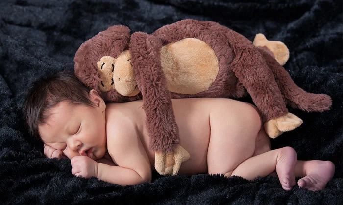 Newborn_babymonkey.jpg