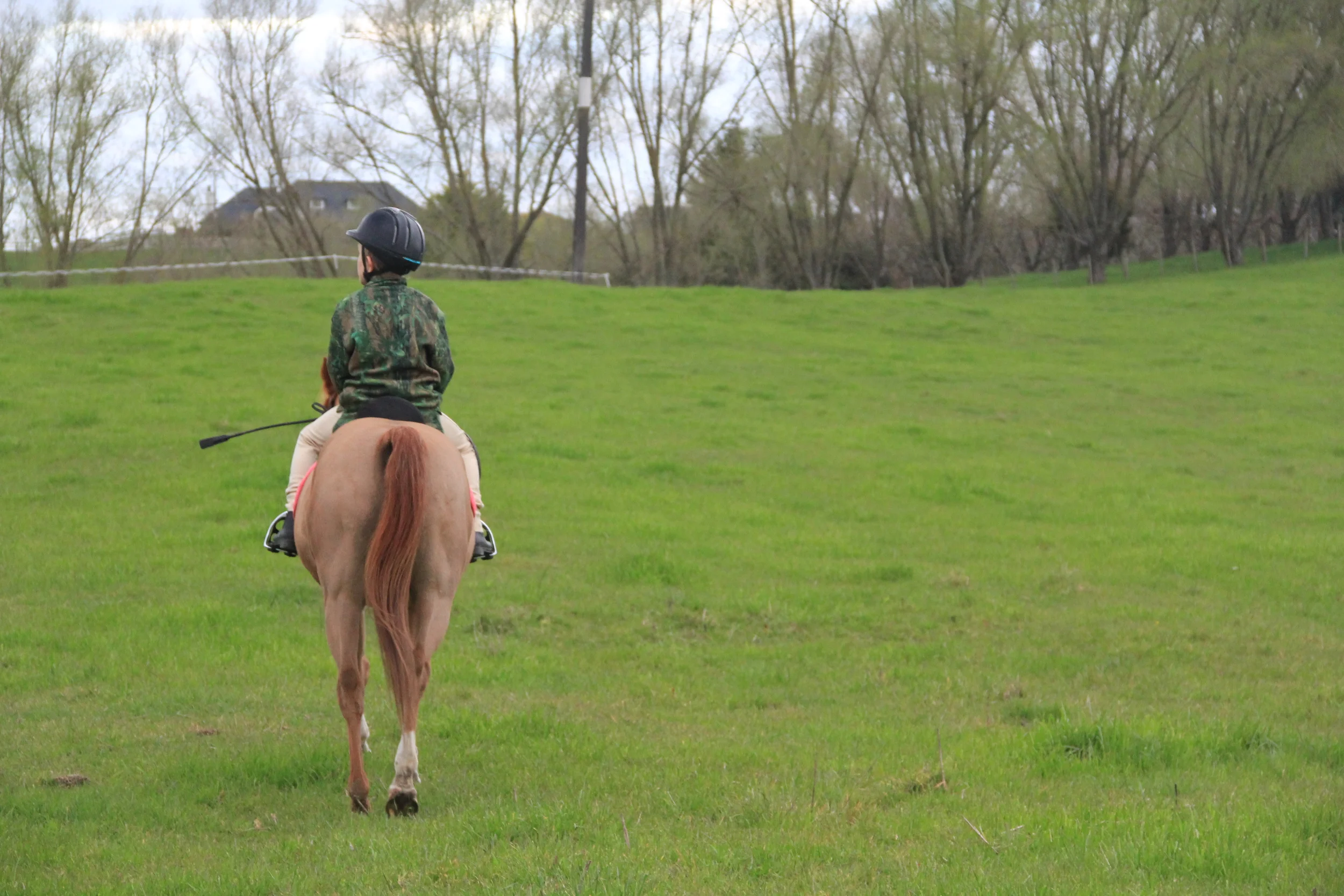 158:365 26-8-14 Farm ride