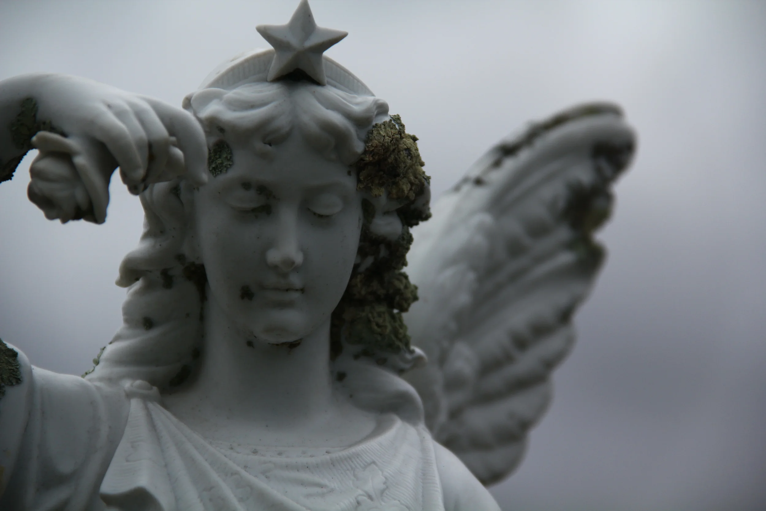 168:365 6-9-14 Alexander's angel
