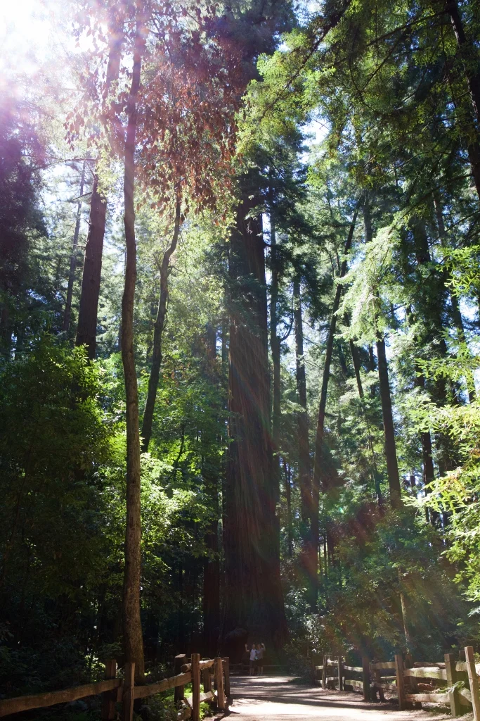 Can you see us? Photo credit: Wendy Russell