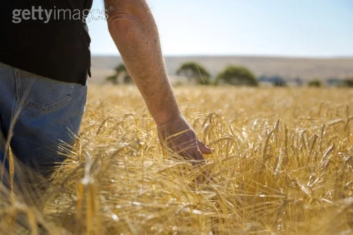 Photo by TonyLomas/iStock / Getty Images