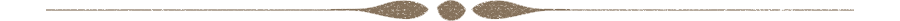 OrnamentRule2.png