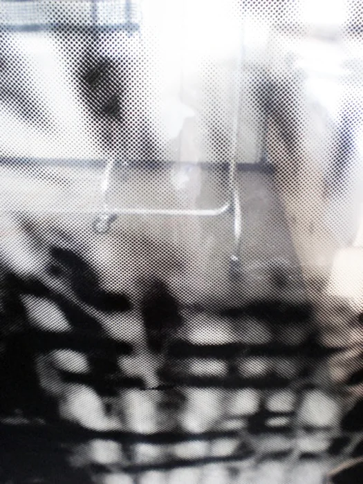 2013_CIMG3948.jpg