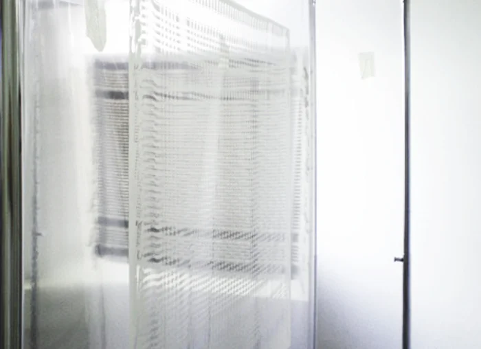 2013_pali-transp.jpg