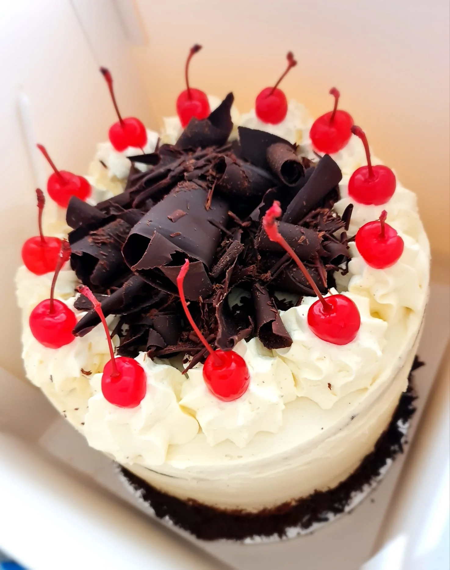 WhatsApp Image 2023-04-02 at 17.55.46.jpeg