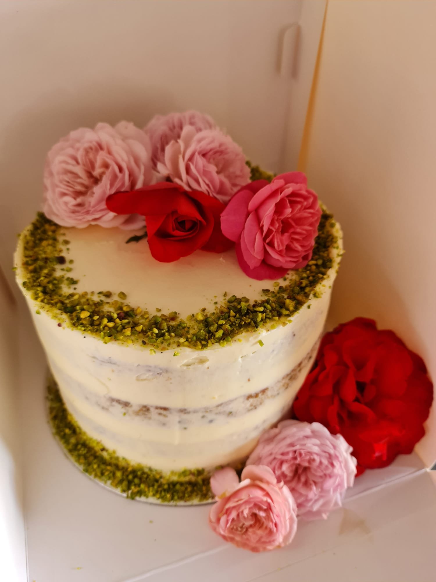 WhatsApp Image 2023-04-02 at 17.44.52.jpeg