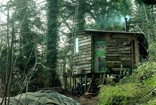 Wild Wood; words & photos: Fern Leigh Albert.