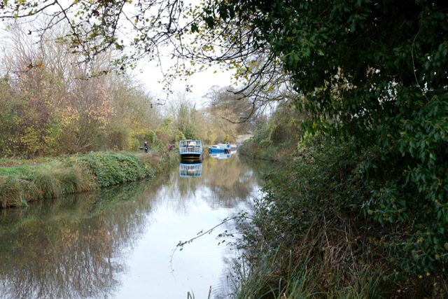 Boats_MG_0540.jpeg