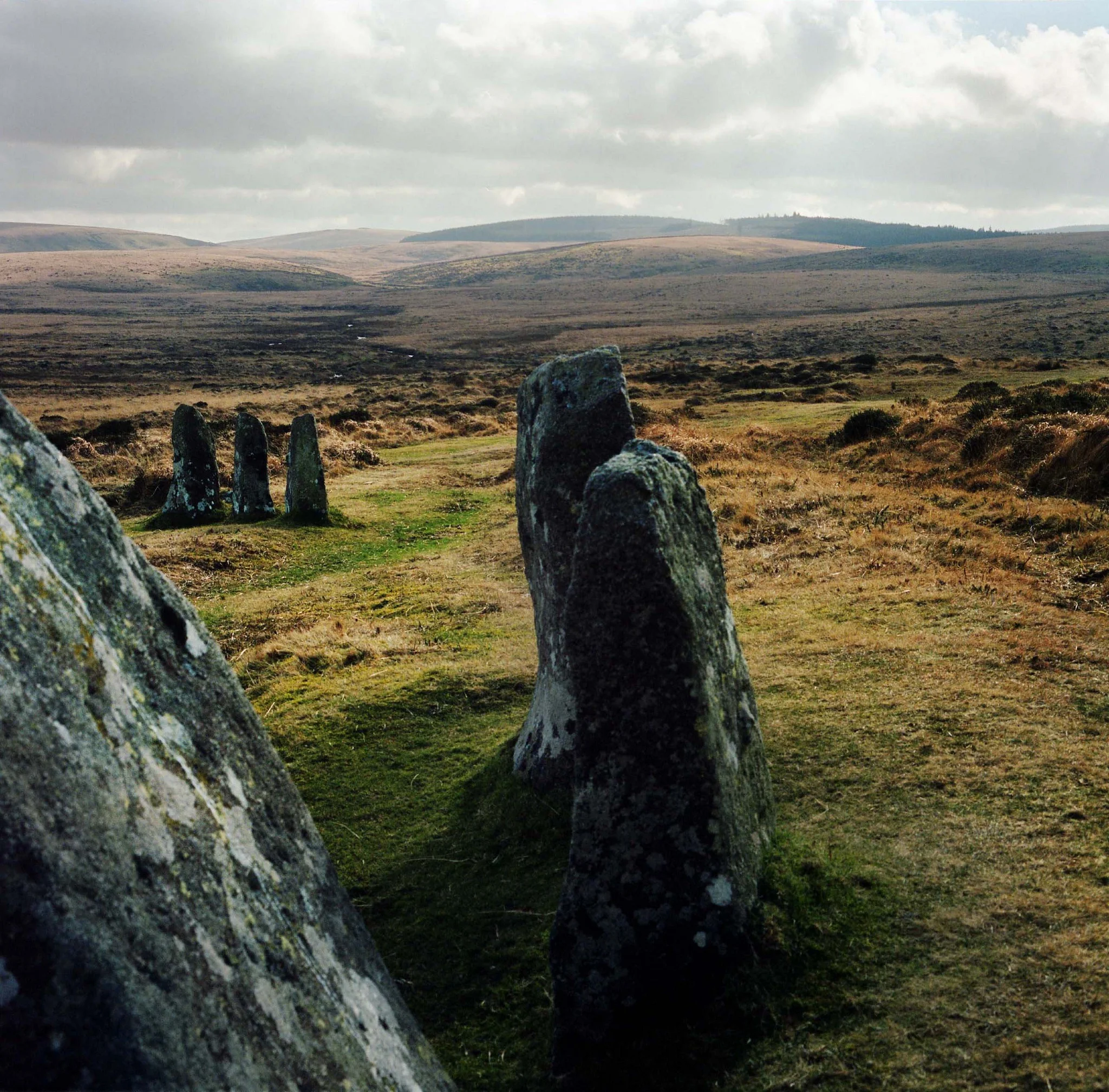 Scorhill Stone Circle, Dartmoor: Fern Leigh Albert