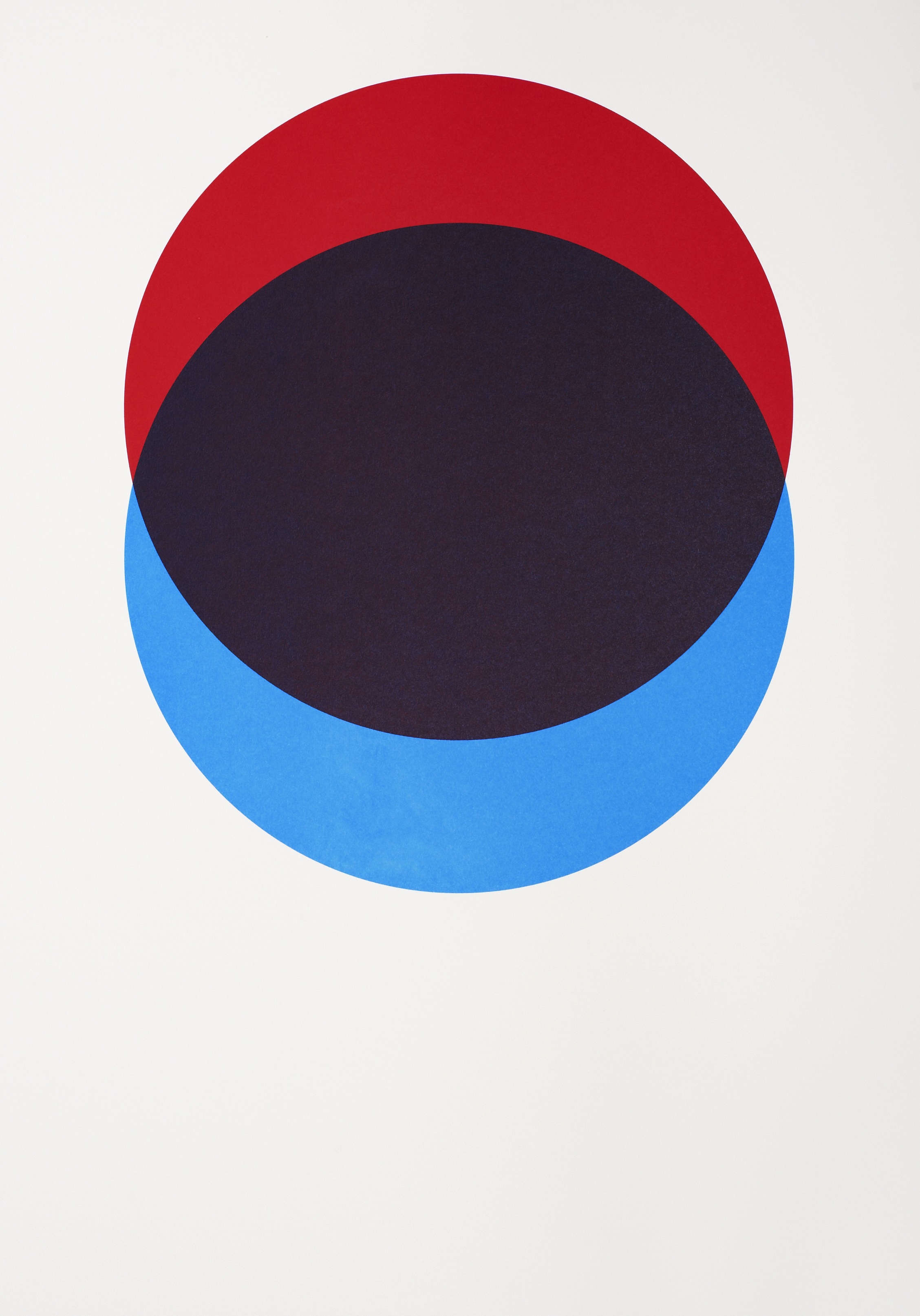 Lane-circles-red-blue-print.jpg