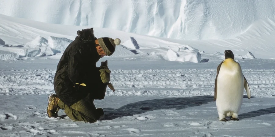George Lowe taking a portrait of a penguin © Jon Stephenson