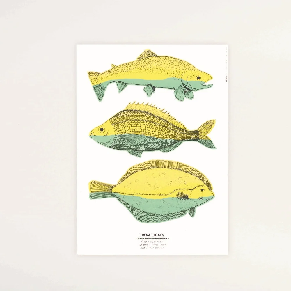 Fish Print, A3, £18 Vibrant risograph print of hand drawn illustrations of trout, sole and sea bream, inspired by an old science poster. 