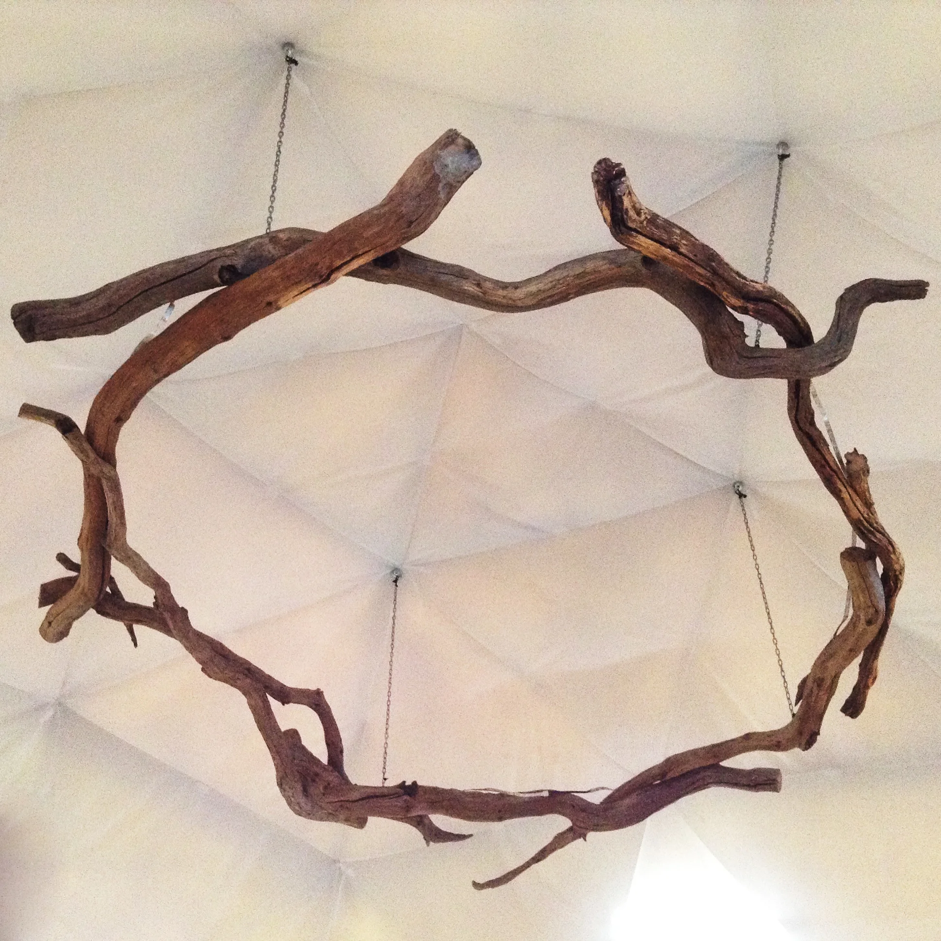 Fforest Heartwood Halo Chandelier made from heartwood of dead oak from Fforest. LED lamps embedded in the branches emit a soft, warm light. Made to order.