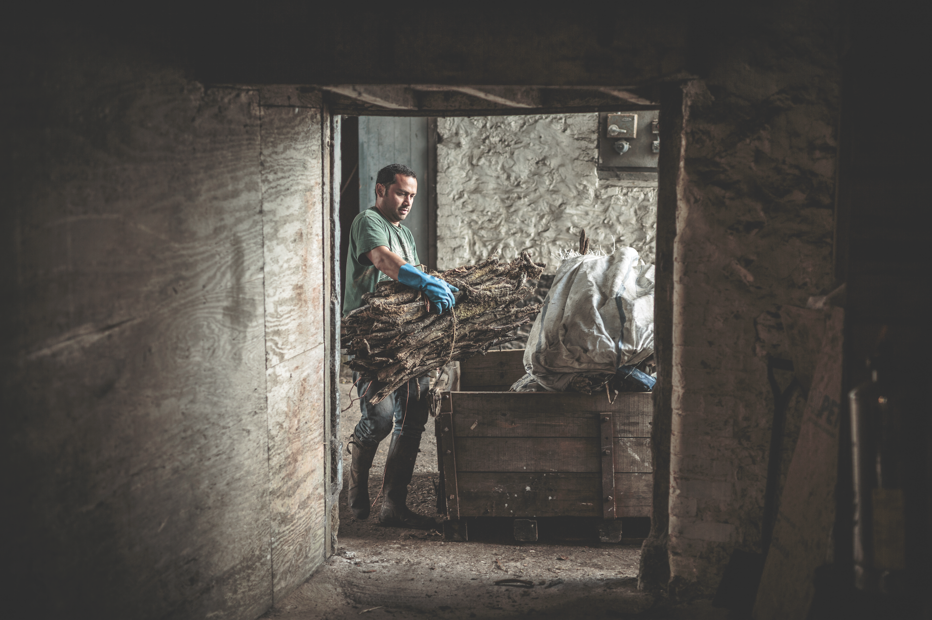 The Last of the Oak Tanners
