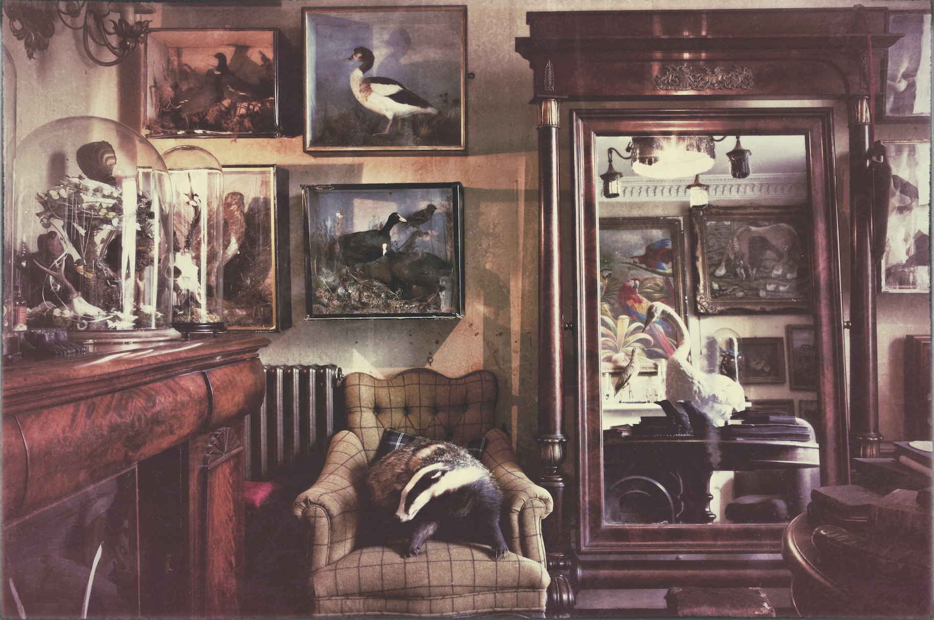 The Menagerie
