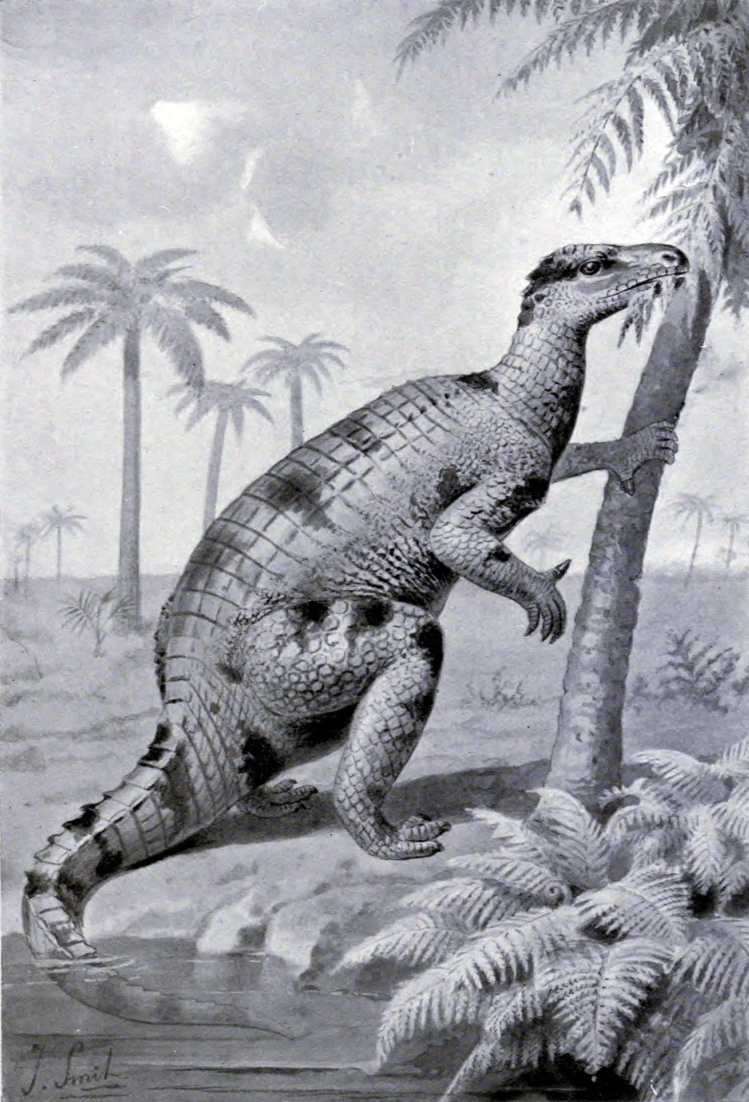 Nineteenth-century painting showing Iguanodon in a tripod pose.