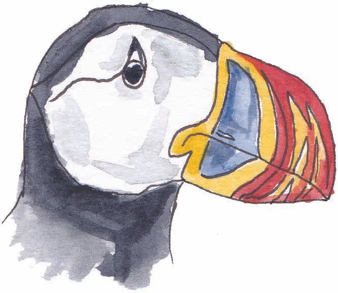 Puffin_ERNEST_RAllen.jpg