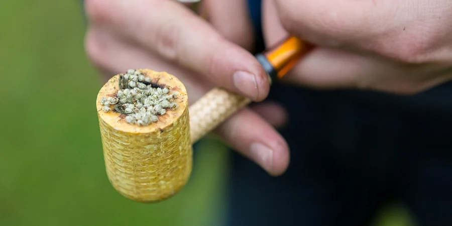 Who's for a puff of mugwort?