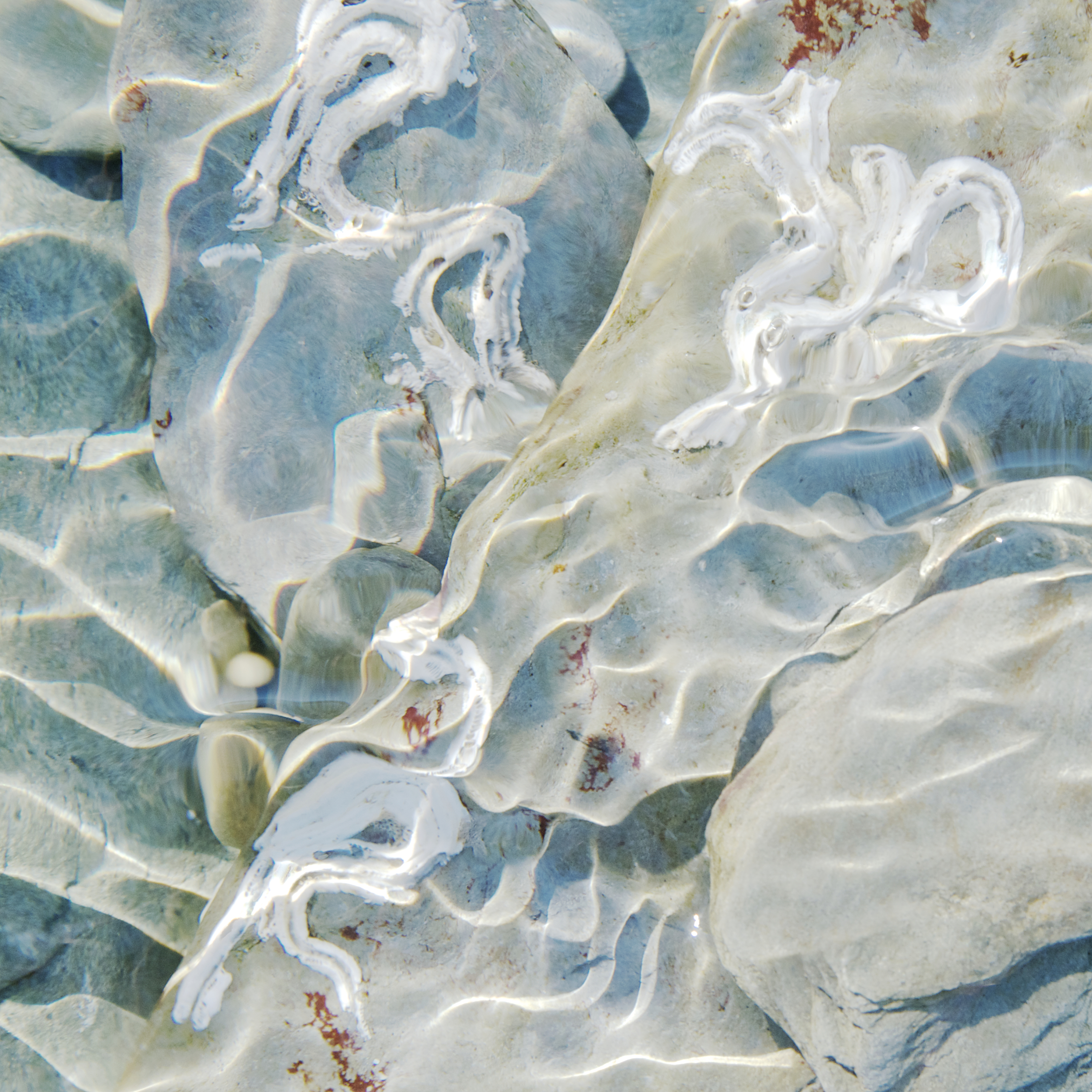 'Slate pebbles with keelworm tubes' by Lisa Woollett.jpg