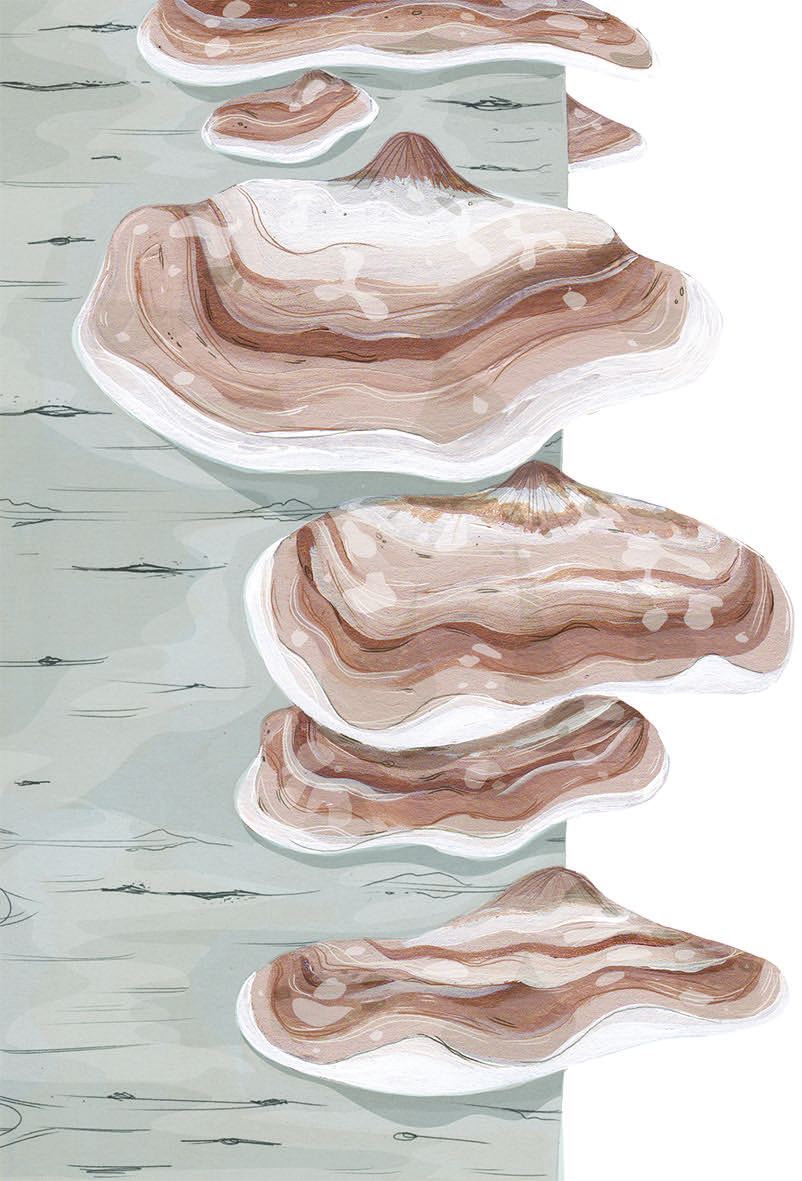 Illustration: Ruth Allen/Blue Eggs & Tea