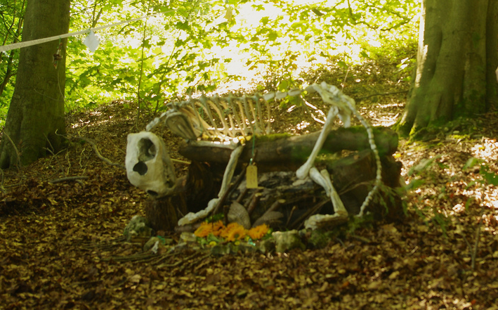 Caspian Tiger Shrine, September 2013