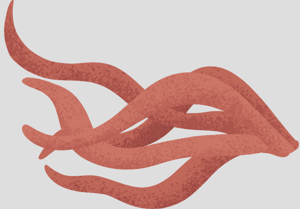 Screen Shot 2019-03-19 at 10.26.45 AM.png